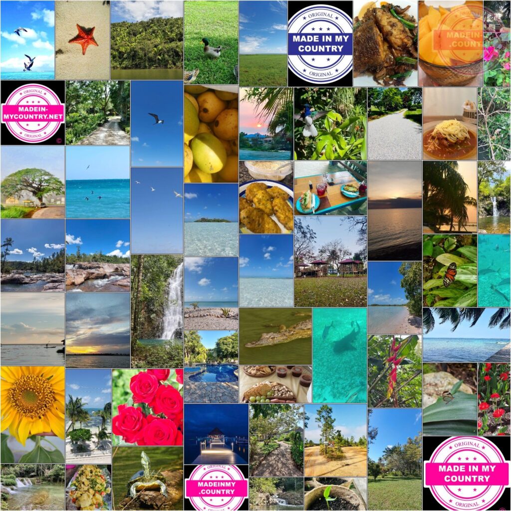 MadeinMycountry Miami (LAT): MadeinMycountry es una plataforma global que celebra y apoya la historia local, la cultura, el arte y los esfuerzos de conservación de la naturaleza. Durante dos décadas, hemos patrocinado museos locales, organizaciones culturales, destinos turísticos, sitios históricos y diversos eventos culturales en todo el mundo.